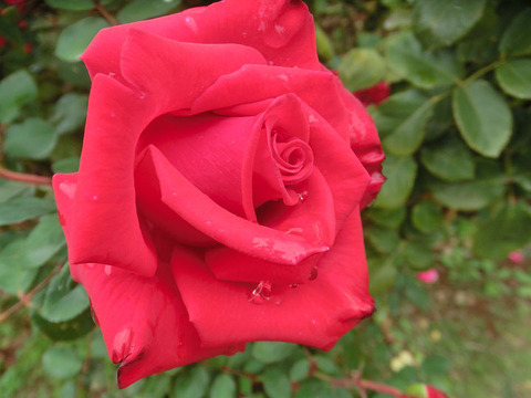 タイムレス　’９８5225