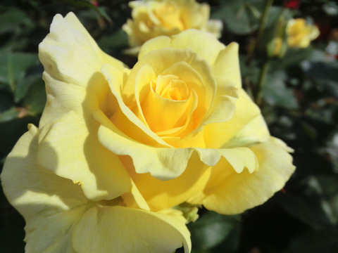 サン　ガッディス0667