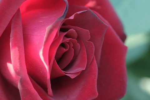 ねつじょう　熱情4886