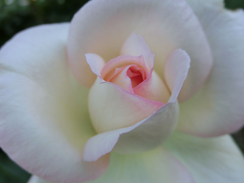 チャイコフスキー1248