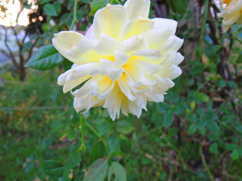 セント　オルバンsDSCN9397