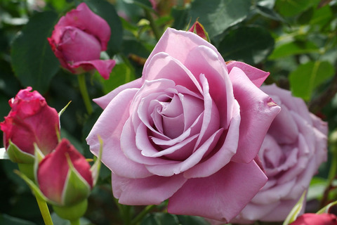 シャルル　ドゥ　ゴールsDSCF1944