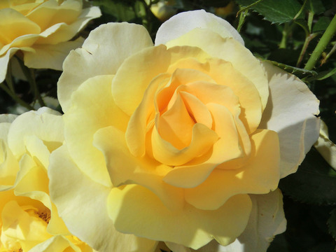 シティ　リバー0633