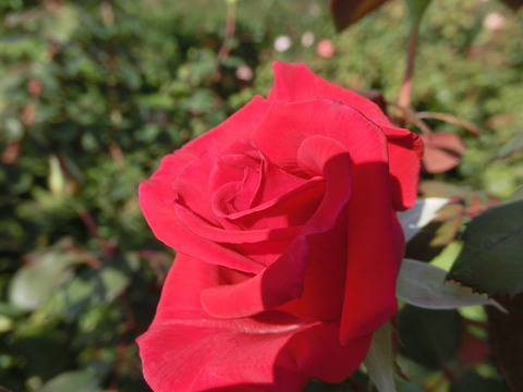 タイムレス　’９８7000