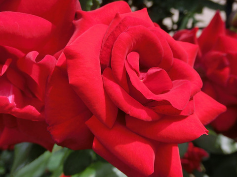 エクスプルワ2516