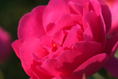 ジョン　クレア