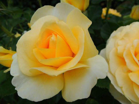 シティ　リバー0349