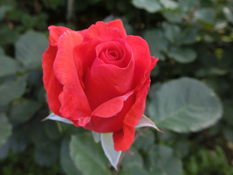 アーティストリー2727