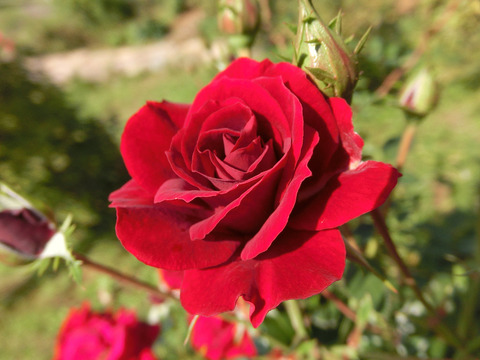 ジョージ　ベスト6949