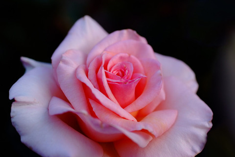 さんび　賛美5500