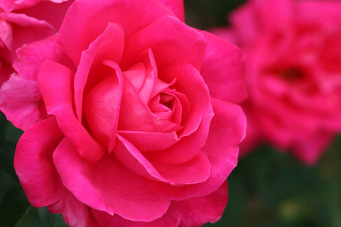 マリア　カラス0529