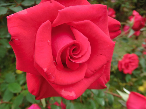 タイムレス　’９８5226