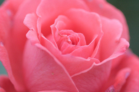 スーパースター6880