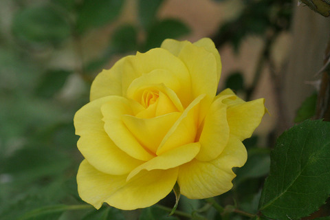 アトール　’９９1584