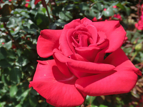 タイムレス’９８1372