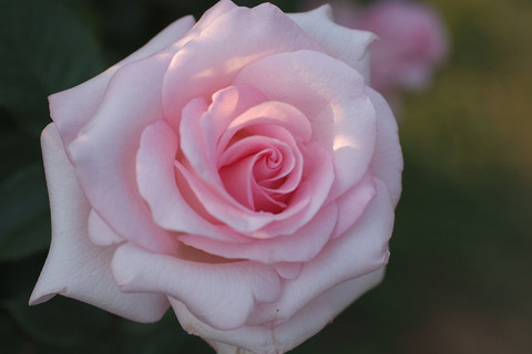 スィート　アキト (2)