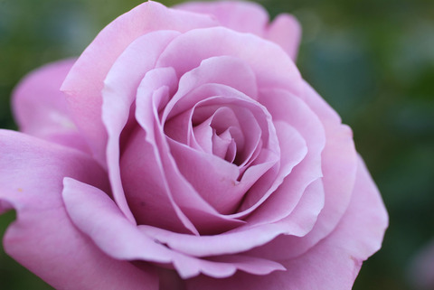 シャルル　ドゥ　ゴールsDSCF1065