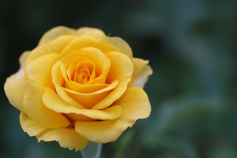 ストラボ　バビロン