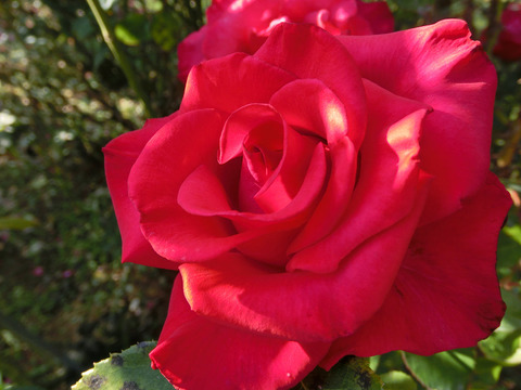 タイムレス　’９８6885