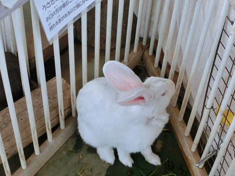 sCIMG8468