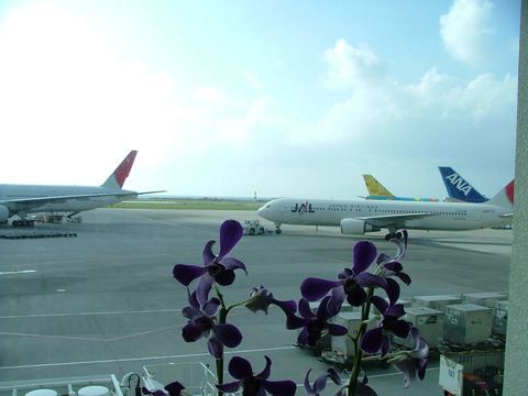 s02DSCF4373