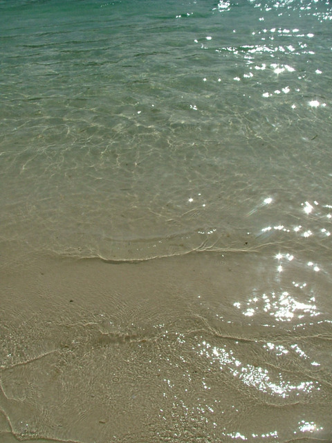 s01DSCF3951