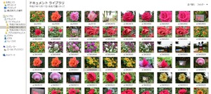 WS000005 (2)