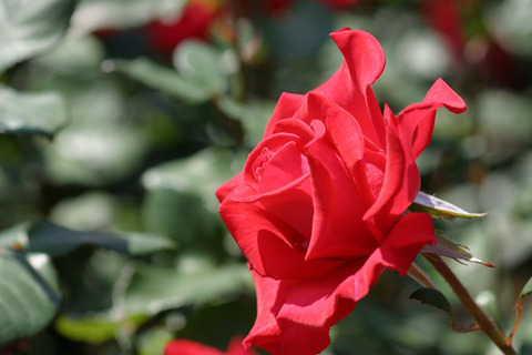 タイムレス　’９８