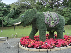 sCIMG2038