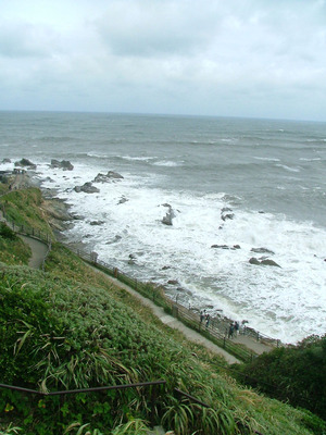 s13dscf6663