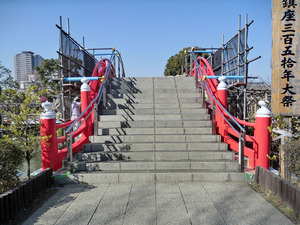 sCIMG6018