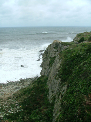 s13dscf6677