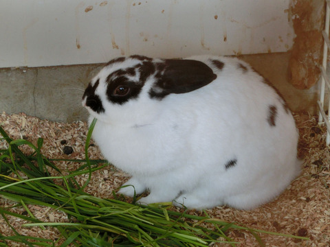sCIMG7313