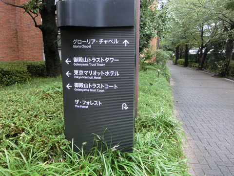 sCIMG3919