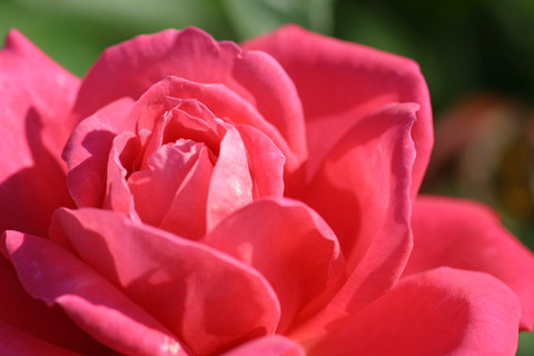 マリア　カラス