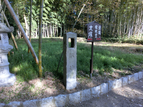 sCIMG2331