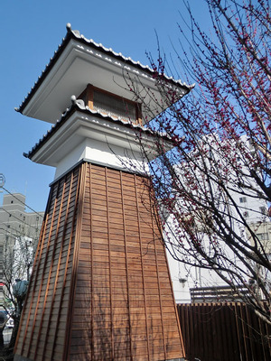 sCIMG6013