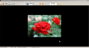 irfanview