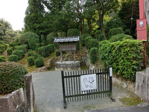 14no3sCIMG0447