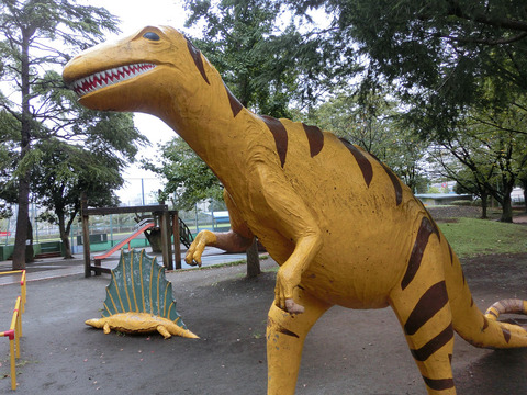 sCIMG3795