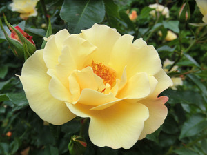bsCIMG0643