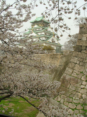 s01dscf5549