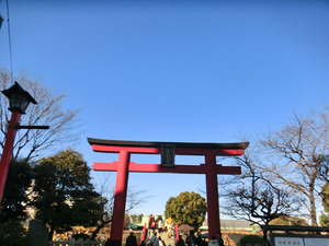 bsCIMG7888