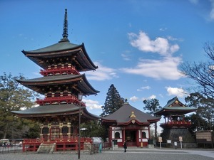 sCIMG6765