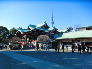 bsCIMG7893