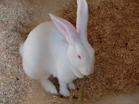 sCIMG7317