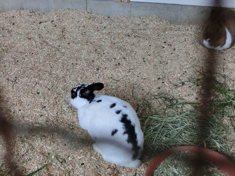 sCIMG8504