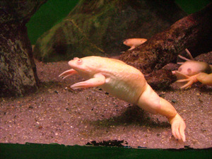 s14dscf6820