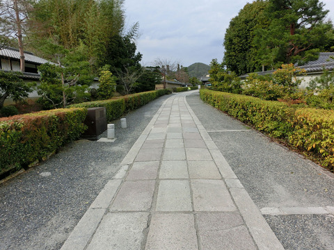 03sCIMG0712
