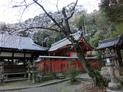 12sCIMG2452